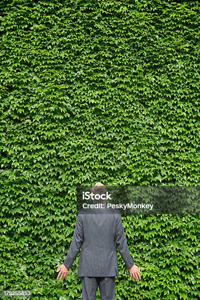 Uomo Daffari In Piedi Allaperto Guardando Lontano Da Parete Verde Edera - Fotografie stock e altre immagini di Adulto