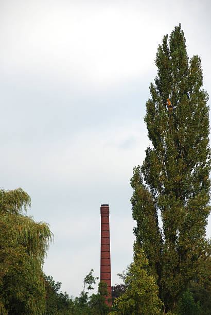 istock Chimney of old factory 175255866