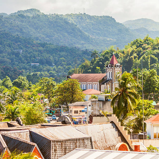 カリブ海の街です。 - tropical rainforest jamaica tropical climate rainforest ストックフォトと画像