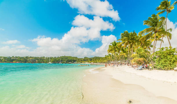 istock La Caravelle beach in Guadeloupe 1752559888
