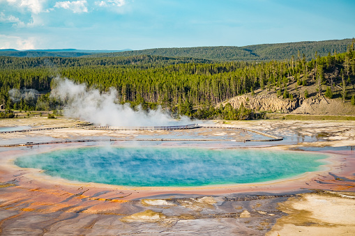 Immerse yourself in the breathtaking beauty of Yellowstone National Park with this striking vertical photograph. In the foreground, the vibrant hues of the Grand Prismatic Spring’s waters come to life, set against a backdrop of boardwalks and a captivating sunset. The scene is an epitome of natural wonder, featuring lush forests and a panoramic view that stretches far and wide.

This image is a perfect choice for promoting tourism and inspiring travelers to explore the wonders of Yellowstone. With no human presence, it allows viewers to connect intimately with the untamed beauty of the park. Whether you aim to ignite wanderlust, showcase the pristine landscapes of Yellowstone, or celebrate the serenity of nature, this photo offers a vivid and expansive perspective. Embark on a visual journey through the Grand Prismatic Spring and its breathtaking surroundings, ready to elevate your creative storytelling.