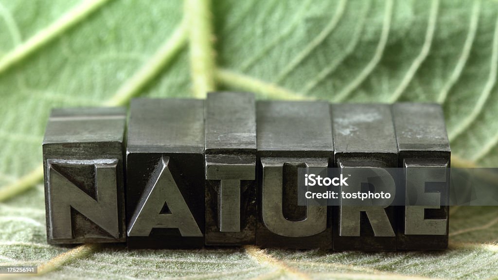 Natur - Lizenzfrei Blatt - Pflanzenbestandteile Stock-Foto