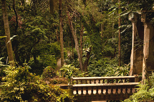 Inside Rio de Janeiro's botanical garden.