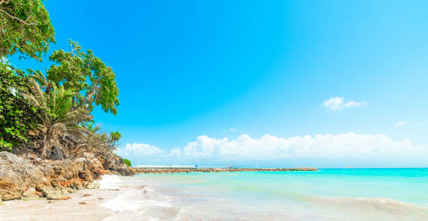 istock Turquoise water in La Datcha beach in Guadeloupe 1752562791