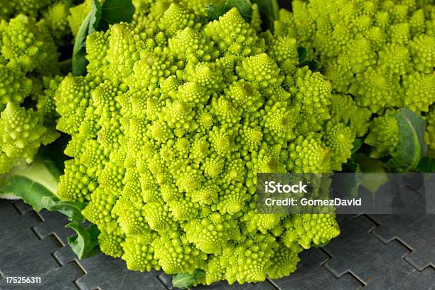 Closeup Di Raccolta Organic Romanesco Broccoli - Fotografie stock e altre immagini di Agricoltura - Agricoltura, Ambientazione esterna, California