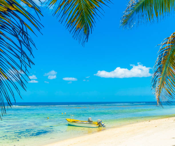 istock Boat and palm trees in Anse Forbans beach 1752566396