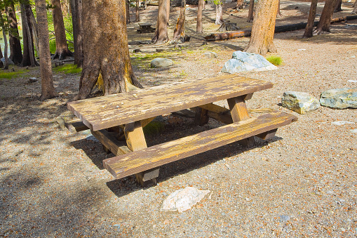 New empty picnic wooden table in a wood with trees