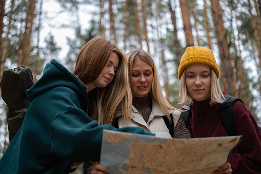 Three young women reading a map in the fall woods. The friends travel on foot through the forest, navigating the map