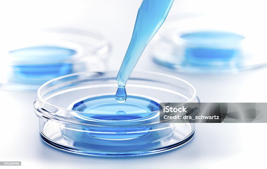 Fertilização in vitro - Foto de stock de Experimento royalty-free