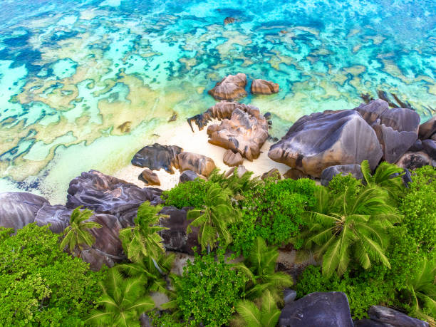 istock Aerial view of Anse Source d'Argent shoreline 1752573319
