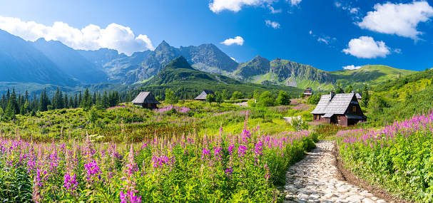 amazing landscape of Tatra Mountains in Poland during summer