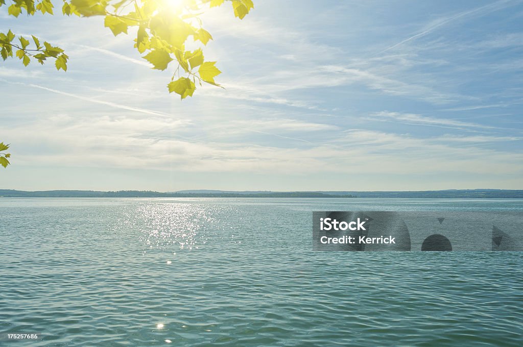 Lake im Sonnenlicht - Lizenzfrei Ast - Pflanzenbestandteil Stock-Foto
