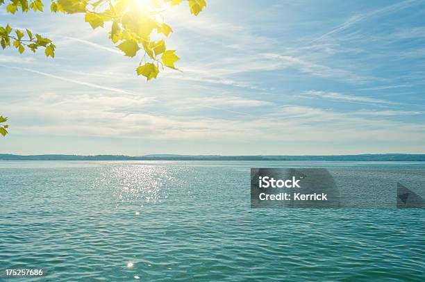 Lake Im Sonnenlicht Stockfoto und mehr Bilder von Ast - Pflanzenbestandteil - Ast - Pflanzenbestandteil, Baum, Blatt - Pflanzenbestandteile