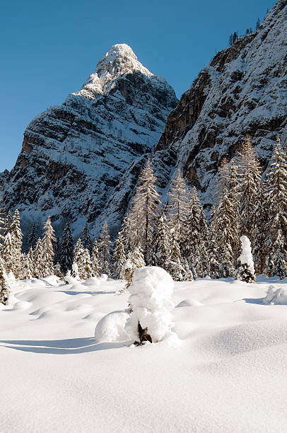 dolina w języku włoskim julian alpy, zima w europie - mountain valley european alps shade zdjęcia i obrazy z banku zdjęć