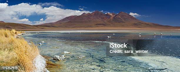 Desert Lake Laguna Canapa Altiplano Bolivien An Einem Sonnigen Tag Stockfoto und mehr Bilder von Altiplano