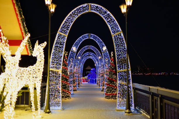istock Aerial view on decorated winter city park with river at night 1752580496