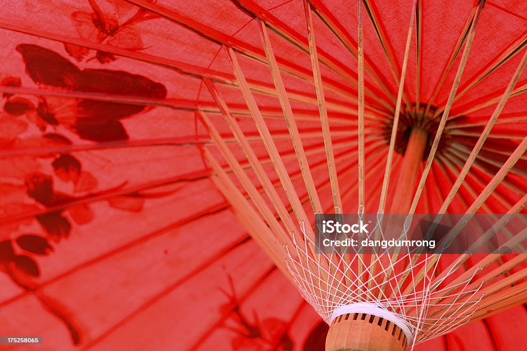 Vue en contre-plongée de bois Parapluie - Photo de Art et Artisanat libre de droits