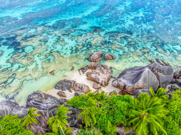 istock Aerial view of Anse Source d'Argent shore 1752581060