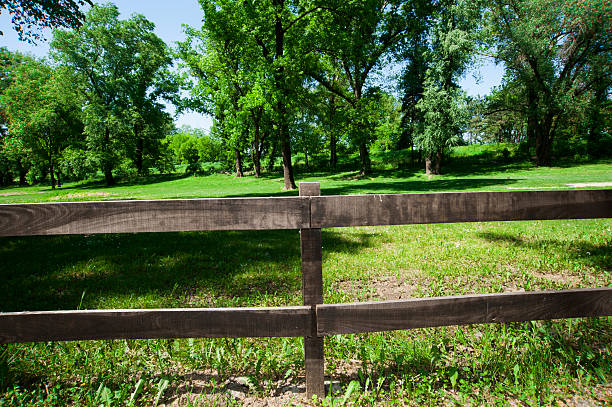 istock Wood fence with nature 175258164