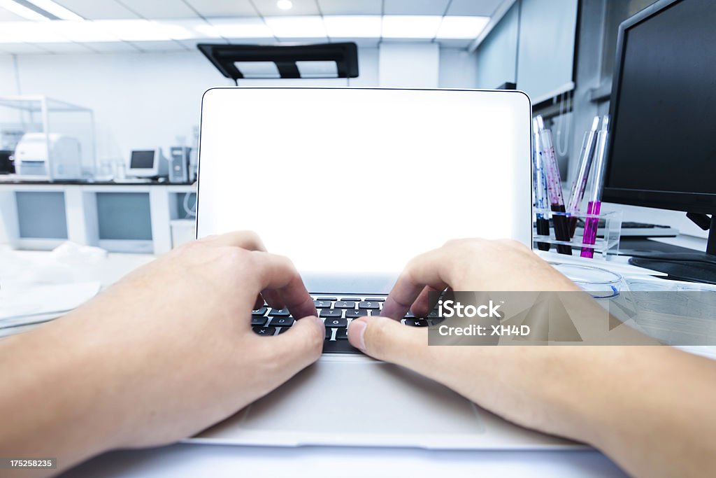 typing in laboratory doctor typing in laboratory Adult Stock Photo