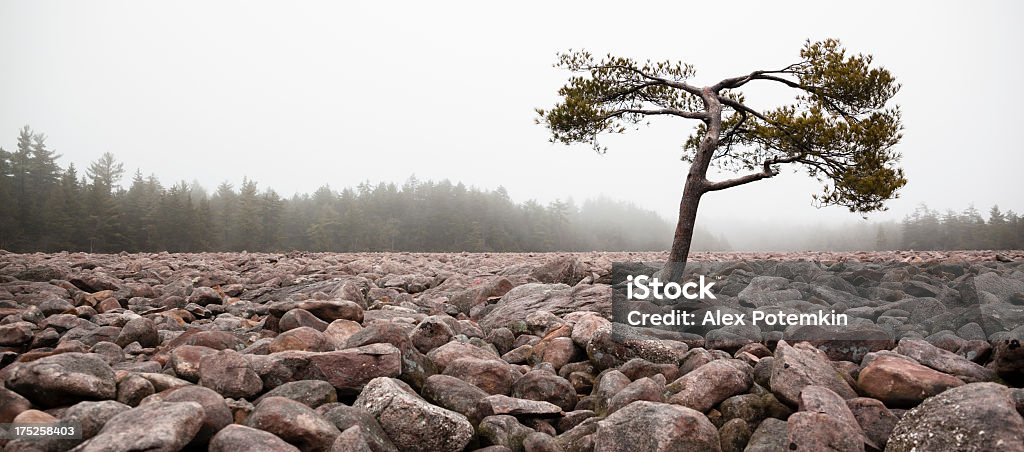 Boulder), fenómeno natural em Hickory execução Parque estatal da Pensilvânia - Royalty-free Alto-Contraste Foto de stock