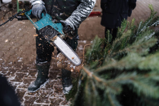 istock Man cuts a part of the trunk from a Christmas tree with a chainsaw 1752586848