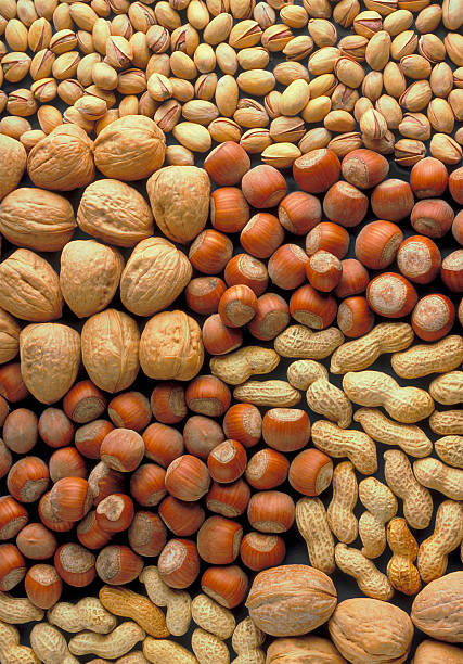 istock Background of nuts with shell: walnuts, hazelnuts, pistachios and peanuts 175259256