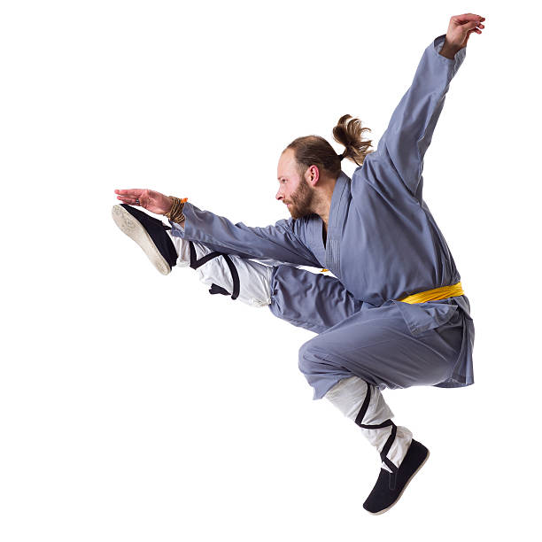 kung fu fighting posizione midair - self defense wushu action aggression foto e immagini stock