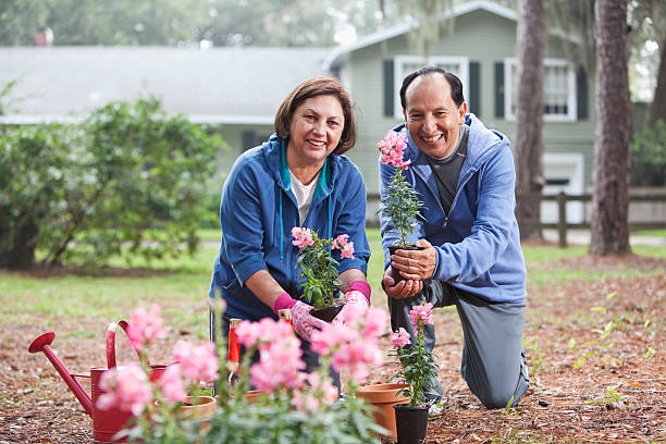 istock Hispanic couple gardening 175259562