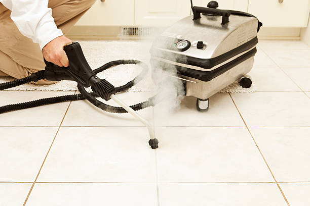 istock Steam Cleaning Bathroom Tile Grout 175259716