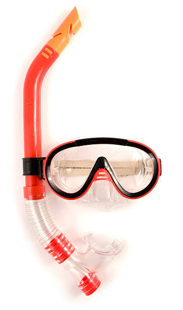 A red snorkel and mask isolated on a white background. The mask enables the wearer to see clearly underwater. the snorkel allows the wearer to breath under the surface of the water. They can be used in the swimming pool or in the sea. There is a rubber adjustment strap at the back to allow for resizing.