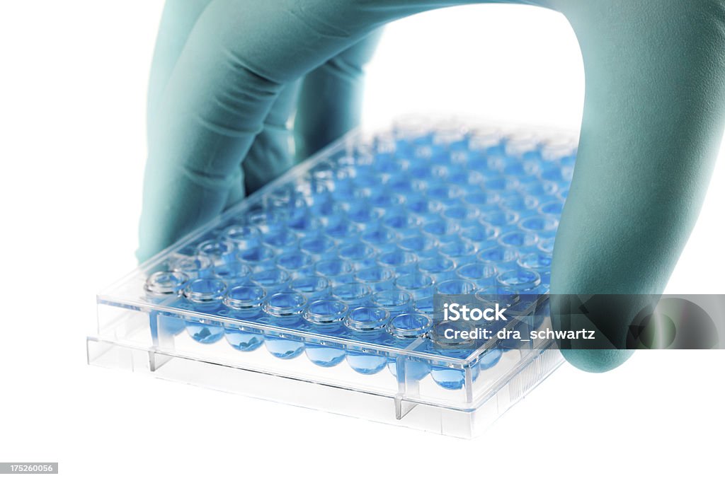 Scientific research Microtiter plate for medical and scientific tests. Analyzing Stock Photo