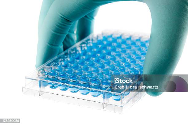 Scientific Research Stock Photo - Download Image Now - Analyzing, Scientific Experiment, Sexually Transmitted Disease