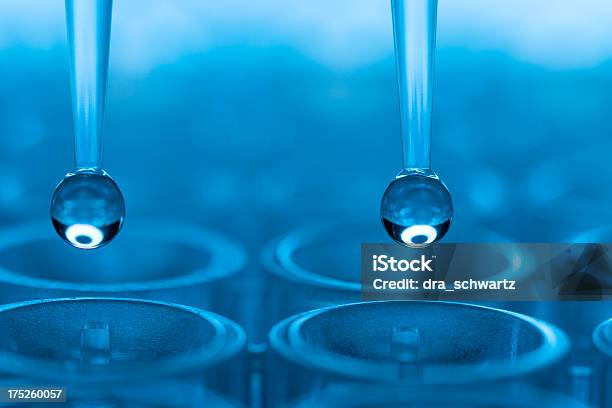 Investigação Científica - Fotografias de stock e mais imagens de Célula-tronco - Célula-tronco, Investigação científica, ADN