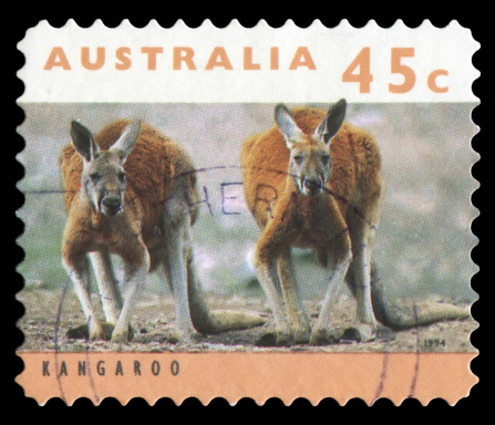 Australia postage stamp: kangaroo