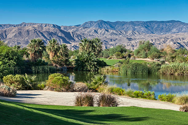 Palm Springs Golf Landscape A Palm Springs golf landscape with mountains in the background. palm desert pool stock pictures, royalty-free photos & images