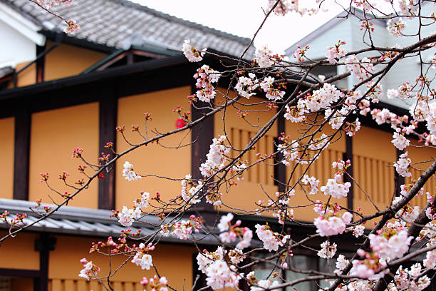 istock traditional Japanese home building 175261600