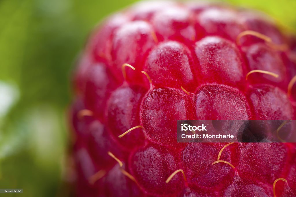 Himbeer - Lizenzfrei Beere - Obst Stock-Foto