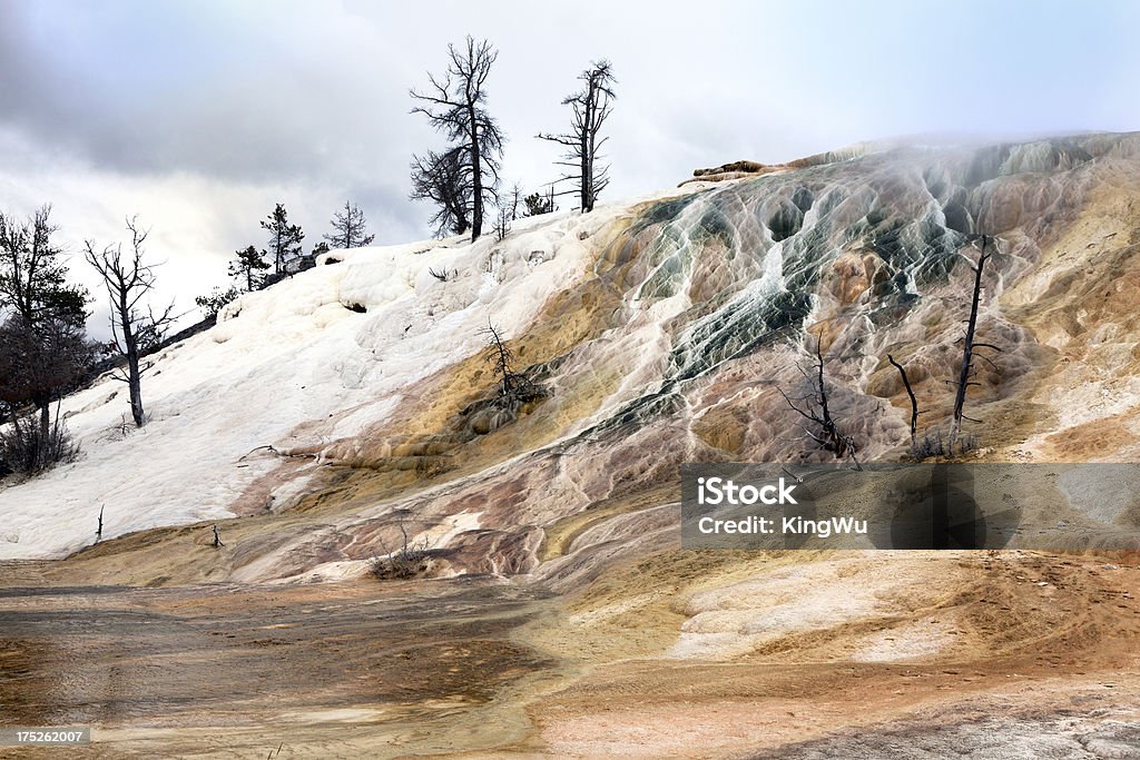 Parque Nacional de Yellowstone - Royalty-free  Fonte termal Mammoth Foto de stock
