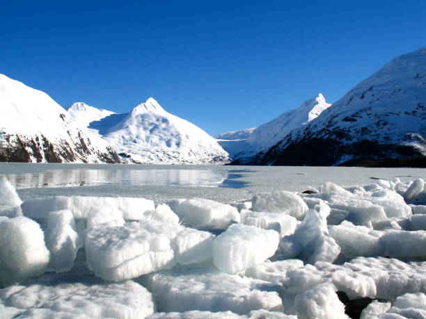 istock Portage Glacier Alaska 1752624905
