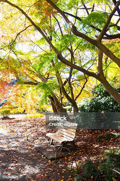 Otoño De Banco Foto de stock y más banco de imágenes de Aire libre - Aire libre, Amarillo - Color, Arce