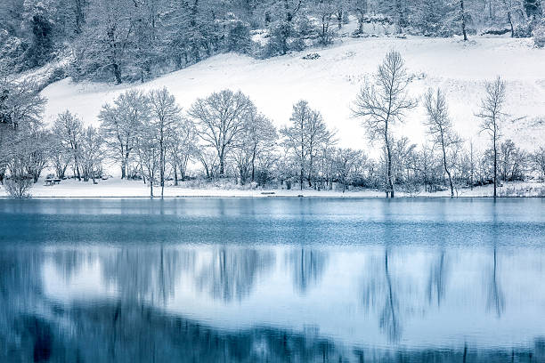 istock Winter Landscape, Lake and Snowy Trees 175262578