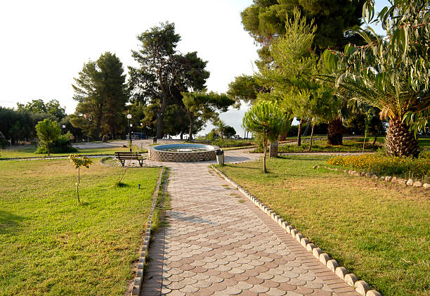 istock Park in Metamorfosi - Sithonia 175262735