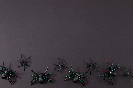 Halloween decorations, spiders on black colored background with copy space
