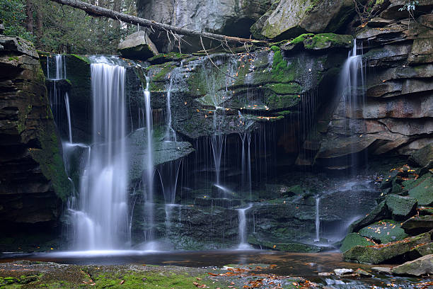 elakala 폴즈 - monongahela national forest landscapes nature waterfall 뉴스 사진 이미지