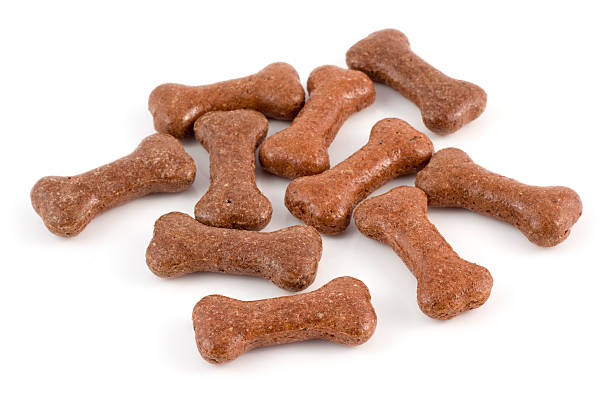 istock Dog treats 175263150