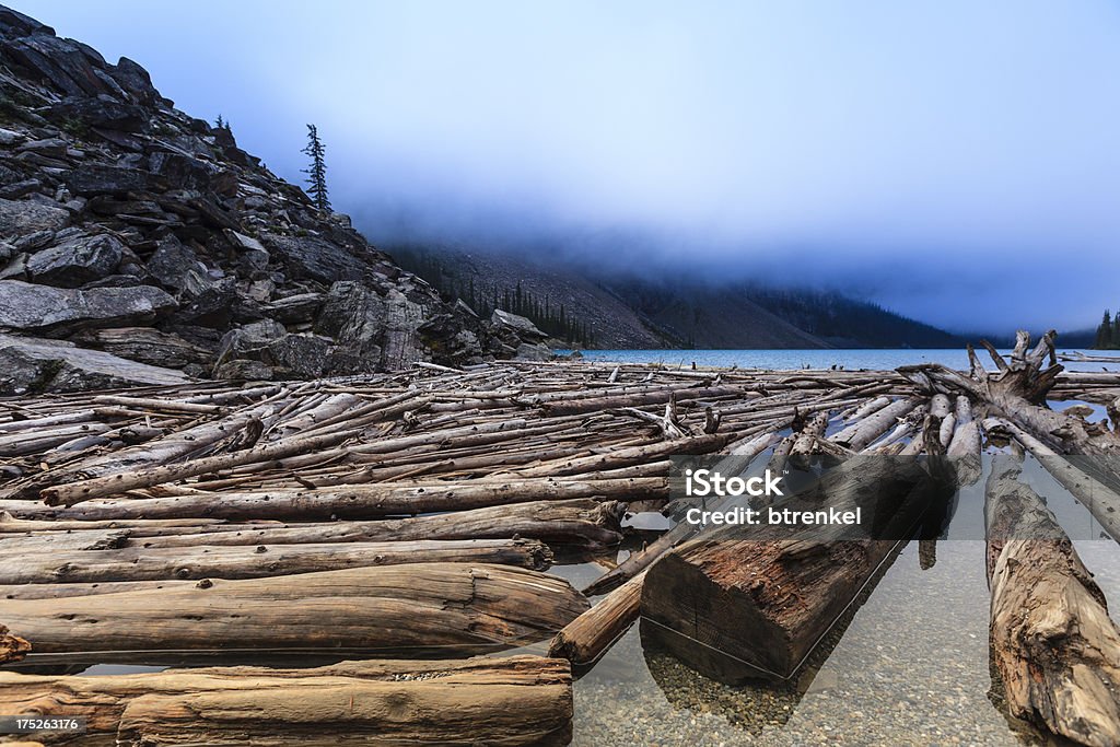 Lago Moraine no Nevoeiro - Royalty-free Abeto Foto de stock