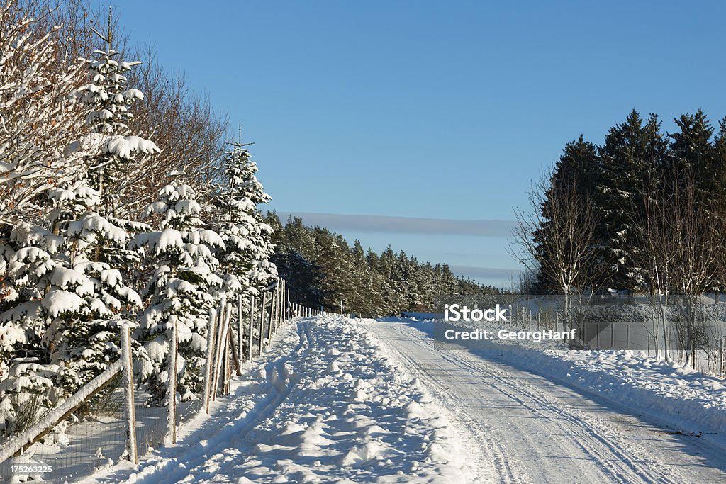 Rue en hiver - Photo de Affluence libre de droits