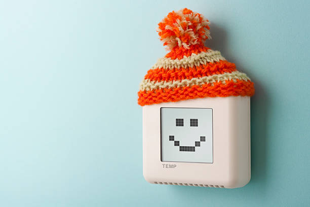 Digital room temperature thermostat with smiley face and wooly hat