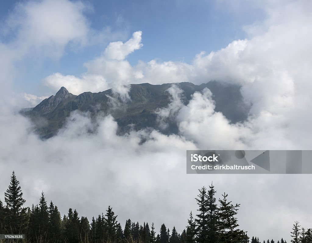 Alpi Montafon - Foto stock royalty-free di Albero